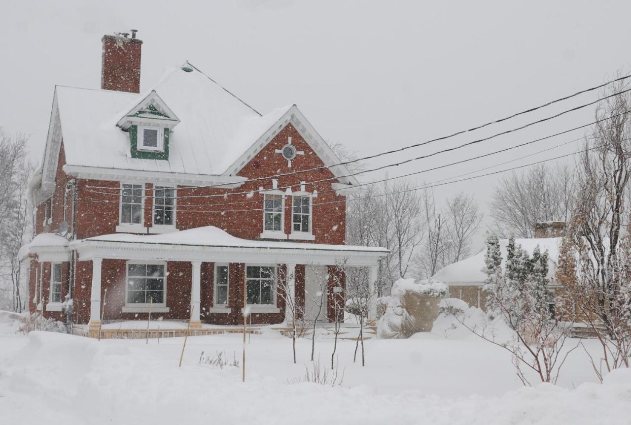 Napier House Apartamento Campbellton Exterior foto